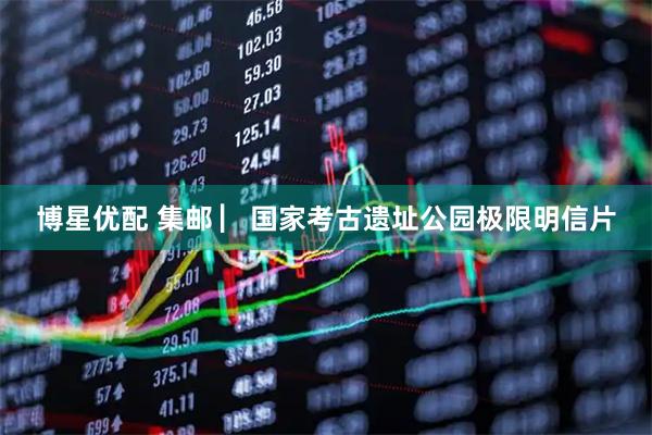 博星优配 集邮 ▏国家考古遗址公园极限明信片