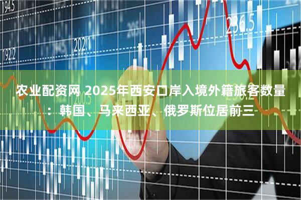 农业配资网 2025年西安口岸入境外籍旅客数量：韩国、马来西亚、俄罗斯位居前三